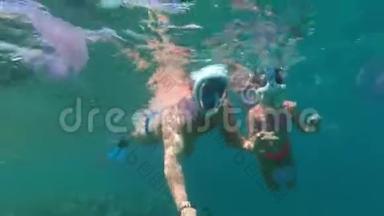 男人和女孩青少年在红海<strong>中</strong>游泳，在紫色水母之间，戴着完整的面罩<strong>浮潜</strong>。 触摸